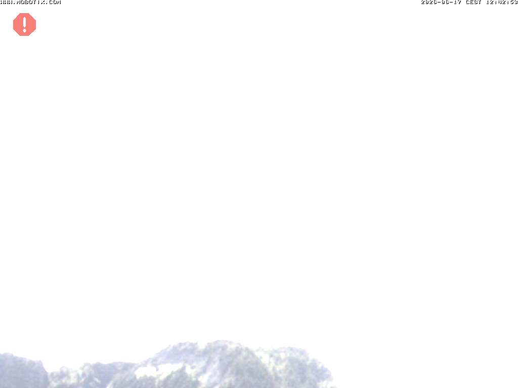 Camera Live Image